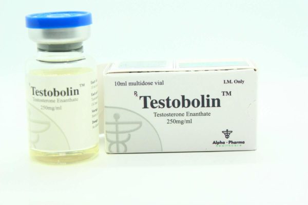 Testosterone Enanthate Alpha Pharma 1