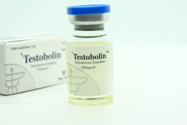 Testosterone Enanthate Alpha Pharma 3