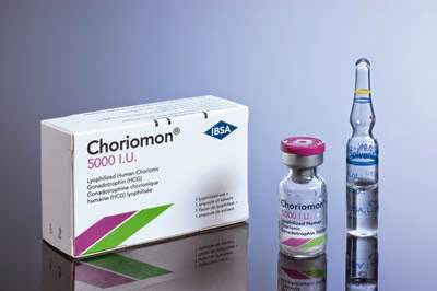 choriomon ISBA2